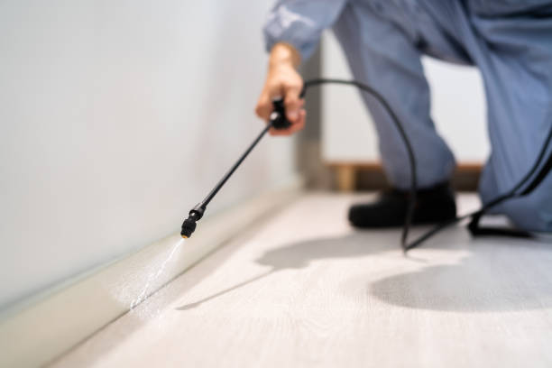 Licensed Rodent Control service in Jewett City, CT - Nex Pest Control