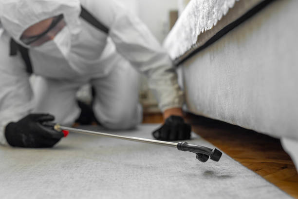 Professional Rodent Control technician working in Jewett City, CT