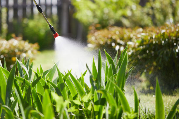 24/7 Emergency Rodent Control experts in Jewett City, CT