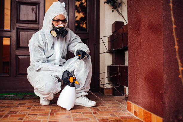 Reliable Rodent Control contractor in Jewett City, CT by Nex Pest Control