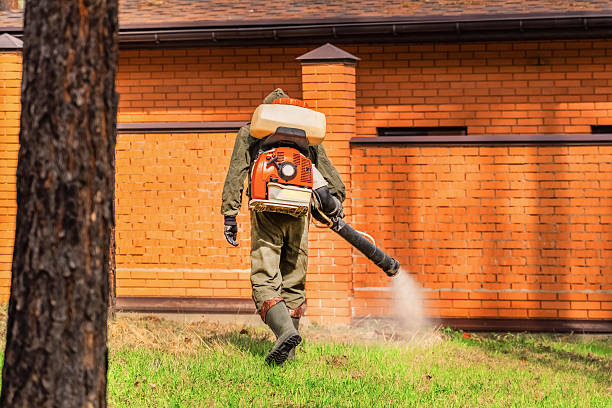 Trusted Cockroach Control service in Jewett City, CT - Nex Pest Control